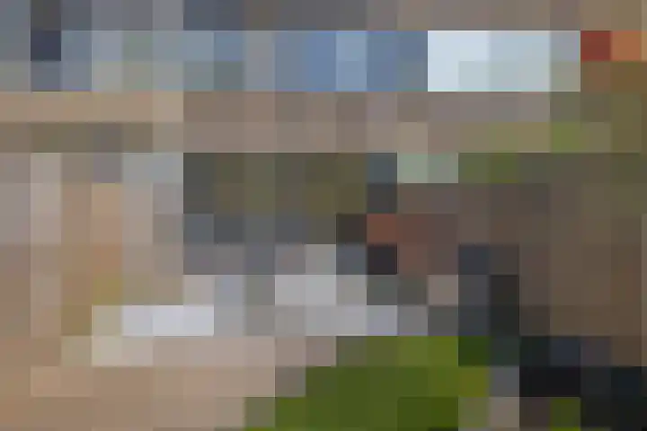 Bolkruid 171 Rotterdam thumbnail 31