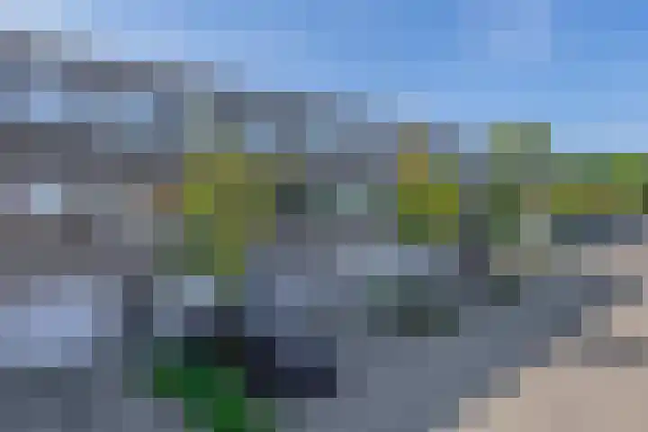 Bolkruid 171 Rotterdam thumbnail 38