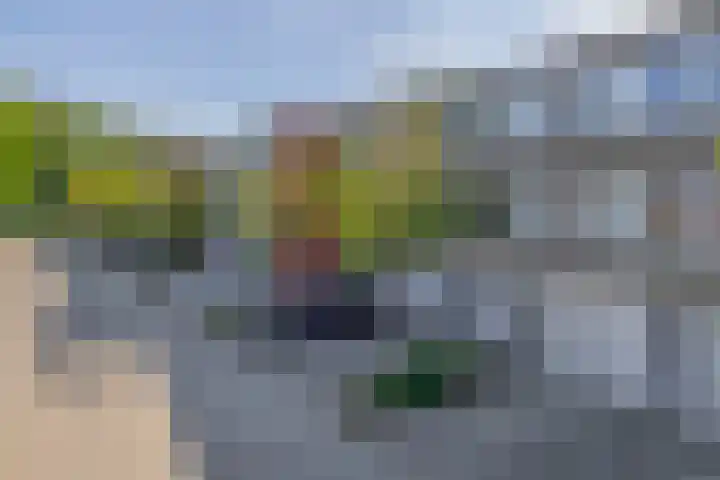 Bolkruid 171 Rotterdam thumbnail 39