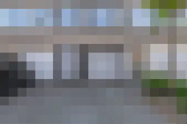 Bolkruid 171 Rotterdam thumbnail 5