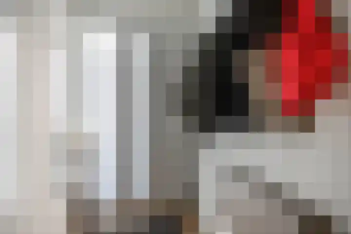 Bolkruid 171 Rotterdam thumbnail 6
