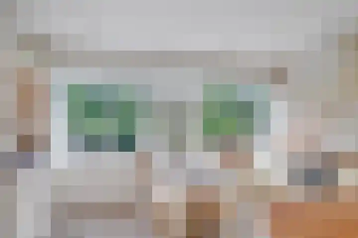 Bolkruid 183 Rotterdam thumbnail 10
