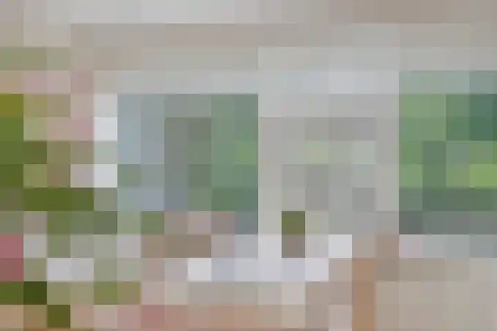 Bolkruid 183 Rotterdam thumbnail 11