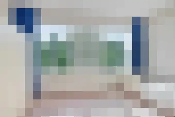 Bolkruid 183 Rotterdam thumbnail 16