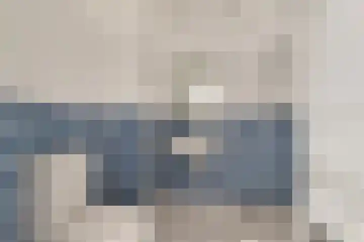 Bolkruid 183 Rotterdam thumbnail 17