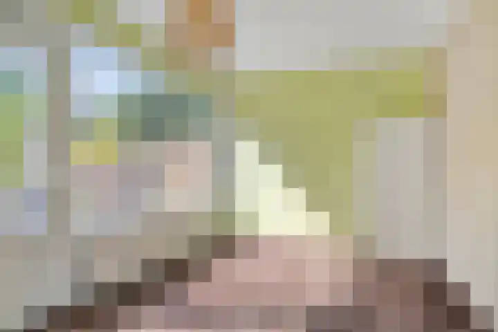 Bolkruid 183 Rotterdam thumbnail 19