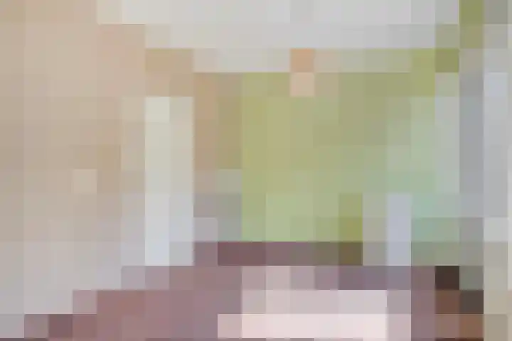 Bolkruid 183 Rotterdam thumbnail 20