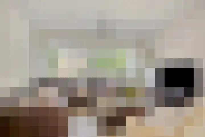Bolkruid 183 Rotterdam thumbnail 7