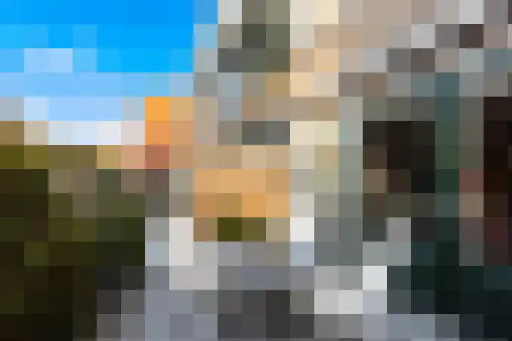 Bolkruid 197 Rotterdam thumbnail 16