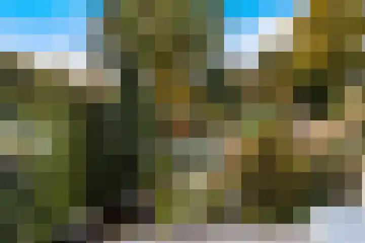 Bolkruid 197 Rotterdam thumbnail 17