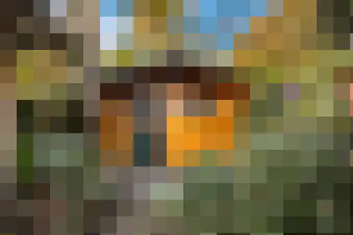 Bolkruid 197 Rotterdam thumbnail 19