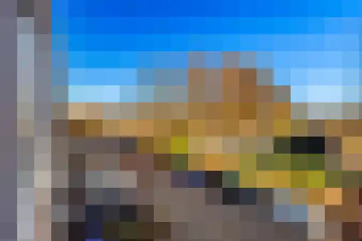 Bolkruid 197 Rotterdam thumbnail 29