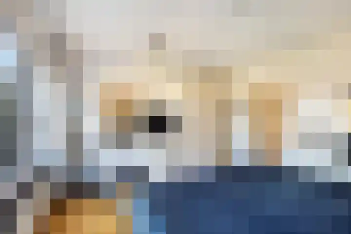 Bolkruid 197 Rotterdam thumbnail 30