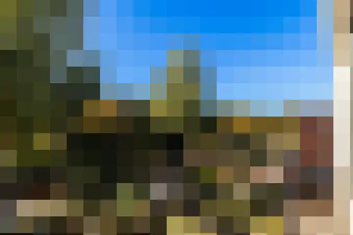 Bolkruid 197 Rotterdam thumbnail 34