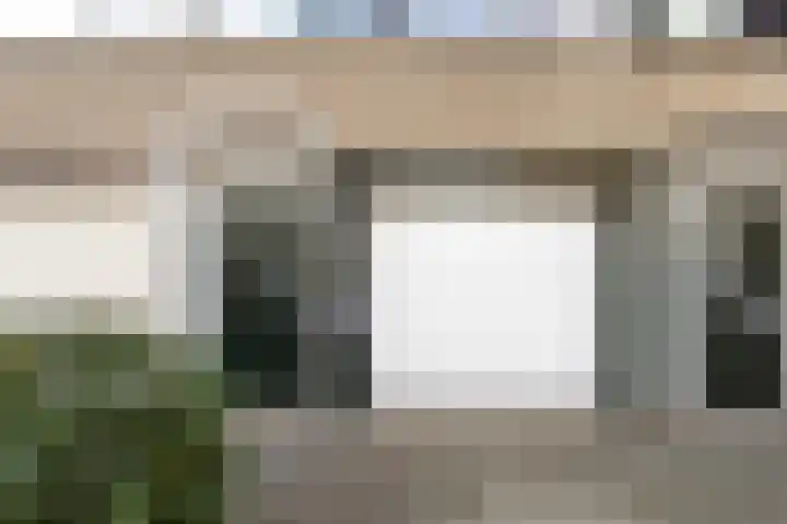 Bolkruid 197 Rotterdam thumbnail 41
