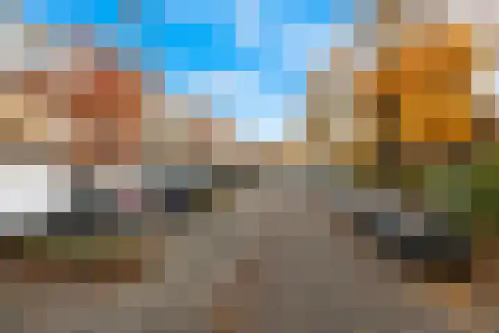 Bolkruid 197 Rotterdam thumbnail 42