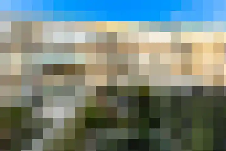 Bolkruid 197 Rotterdam thumbnail 44