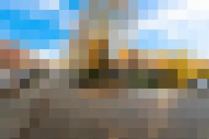 Bolkruid 197 Rotterdam thumbnail 45