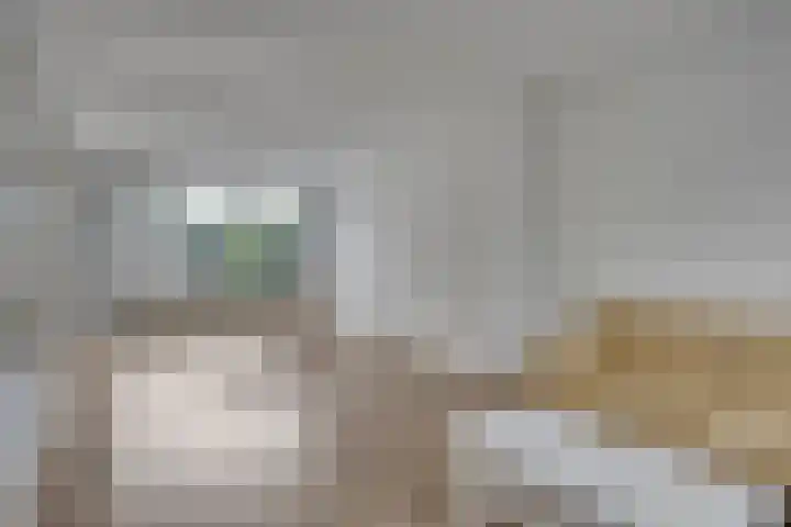 Bolkruid 42 Rotterdam thumbnail 11