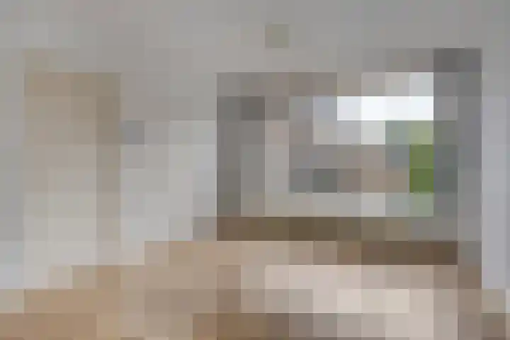 Bolkruid 42 Rotterdam thumbnail 12
