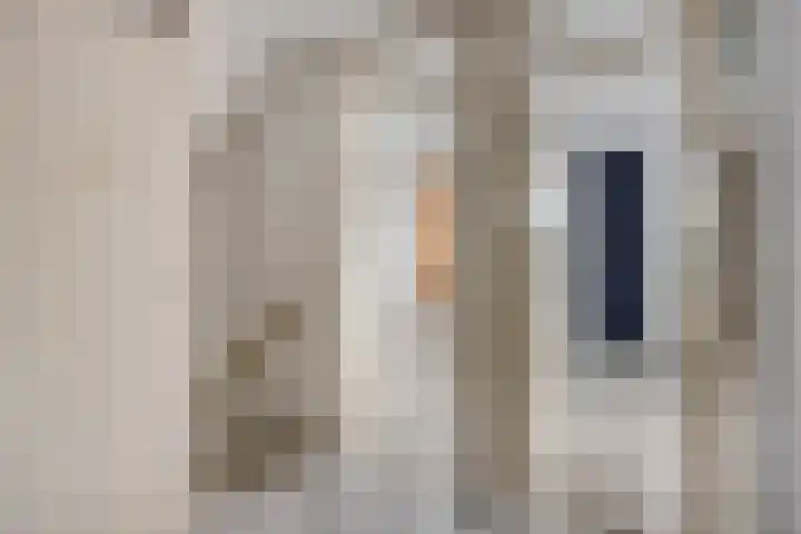 Bolkruid 42 Rotterdam thumbnail 15