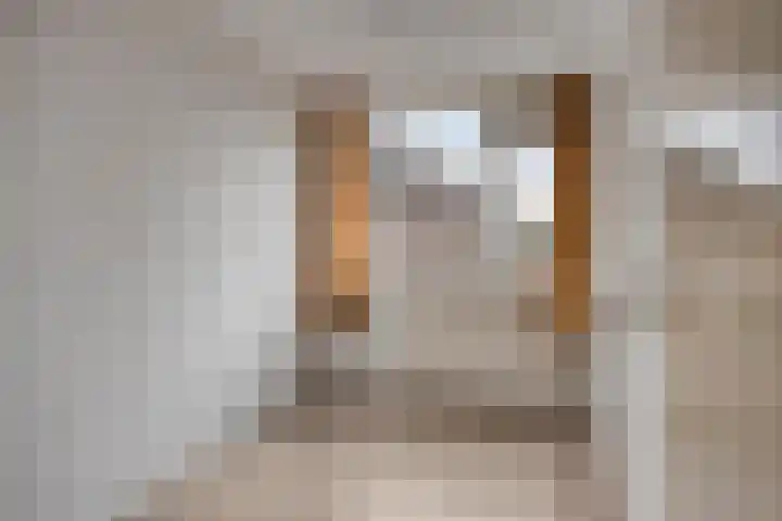 Bolkruid 42 Rotterdam thumbnail 19