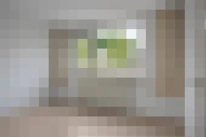 Bolkruid 42 Rotterdam thumbnail 20