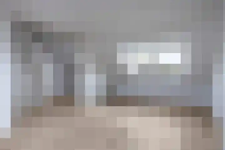 Bolkruid 42 Rotterdam thumbnail 26