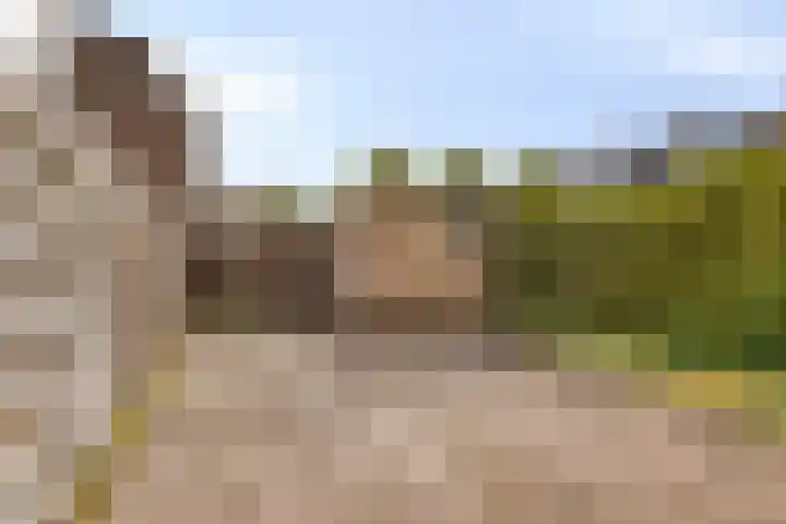 Bolkruid 42 Rotterdam thumbnail 27