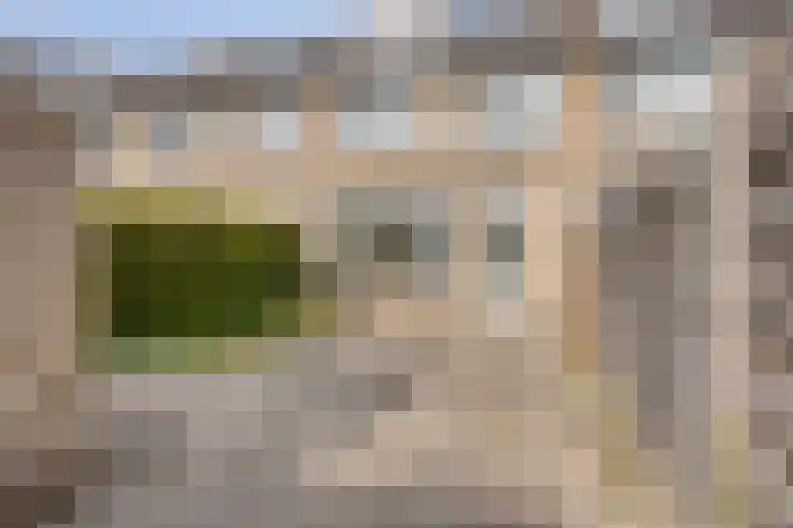 Bolkruid 42 Rotterdam thumbnail 29