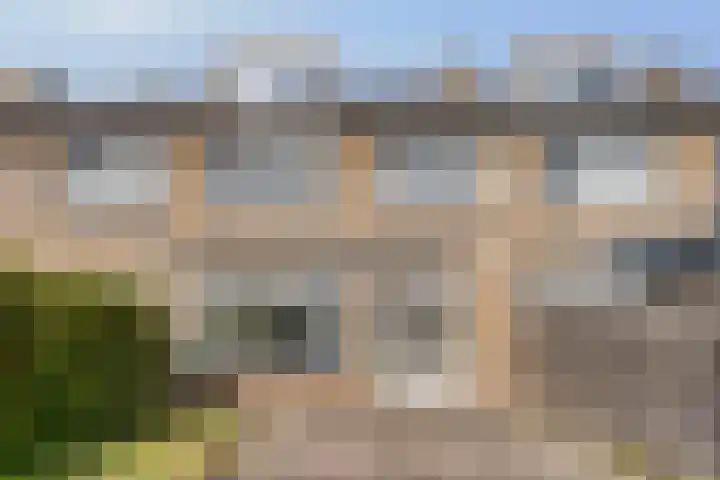 Bolkruid 42 Rotterdam thumbnail 30