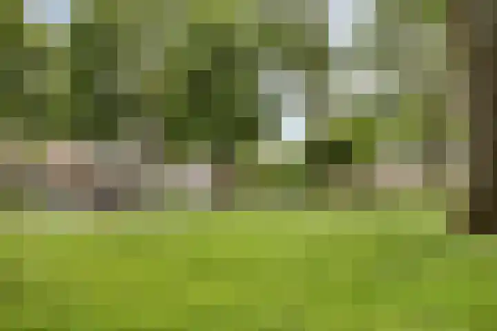 Bolkruid 42 Rotterdam thumbnail 33