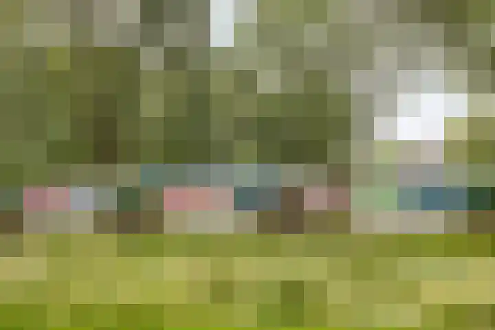 Bolkruid 42 Rotterdam thumbnail 34