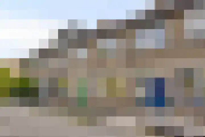 Bolkruid 42 Rotterdam thumbnail 40