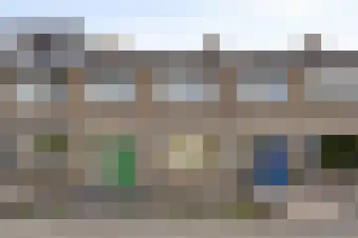 Bolkruid 42 Rotterdam thumbnail 6