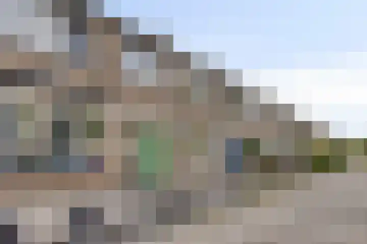 Bolkruid 42 Rotterdam thumbnail 8