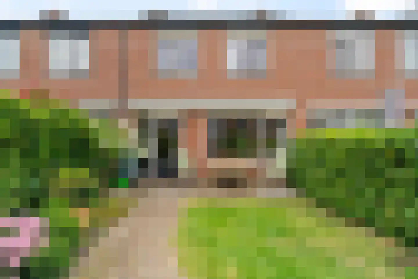 Bolkruid 92 Rotterdam thumbnail 33