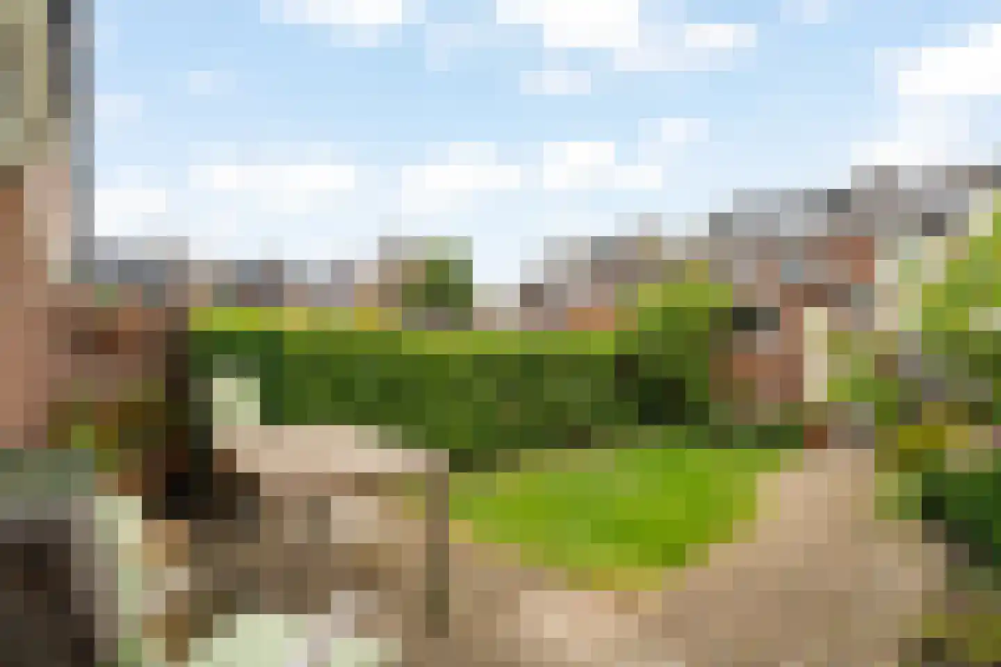 Bolkruid 92 Rotterdam thumbnail 34