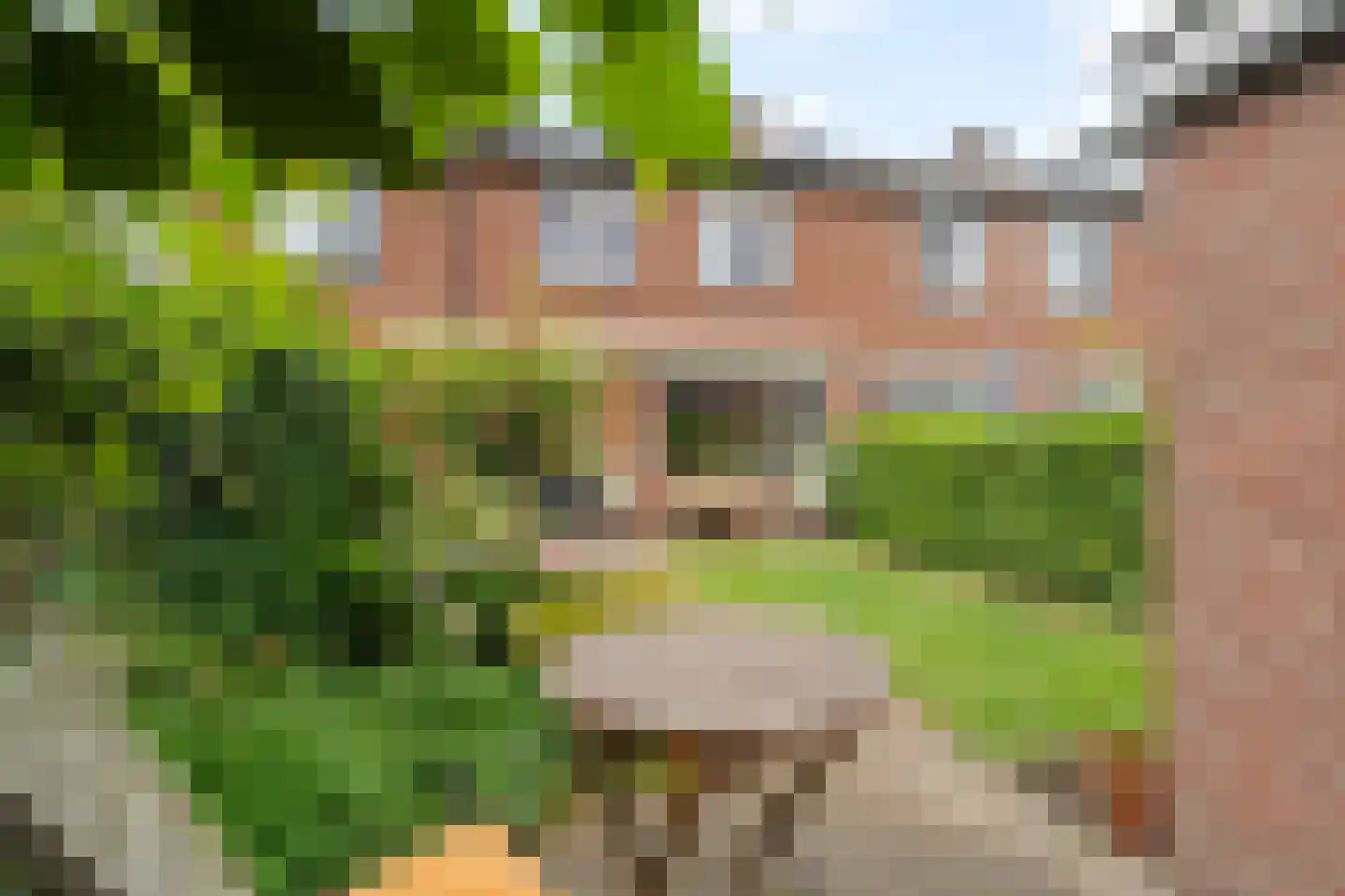 Bolkruid 92 Rotterdam thumbnail 35