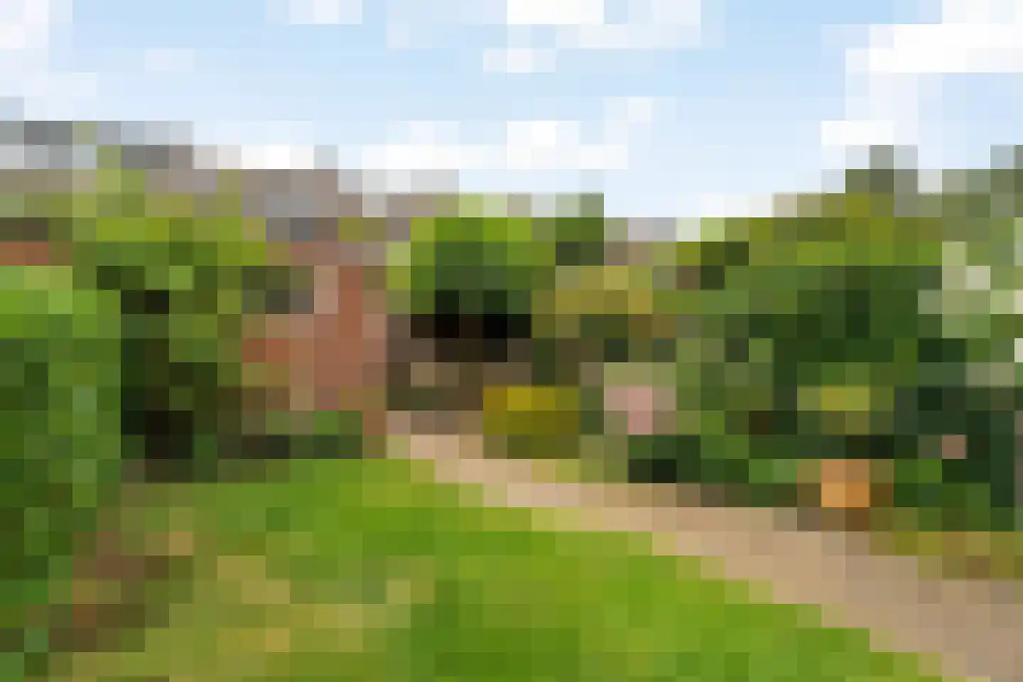 Bolkruid 92 Rotterdam thumbnail 36