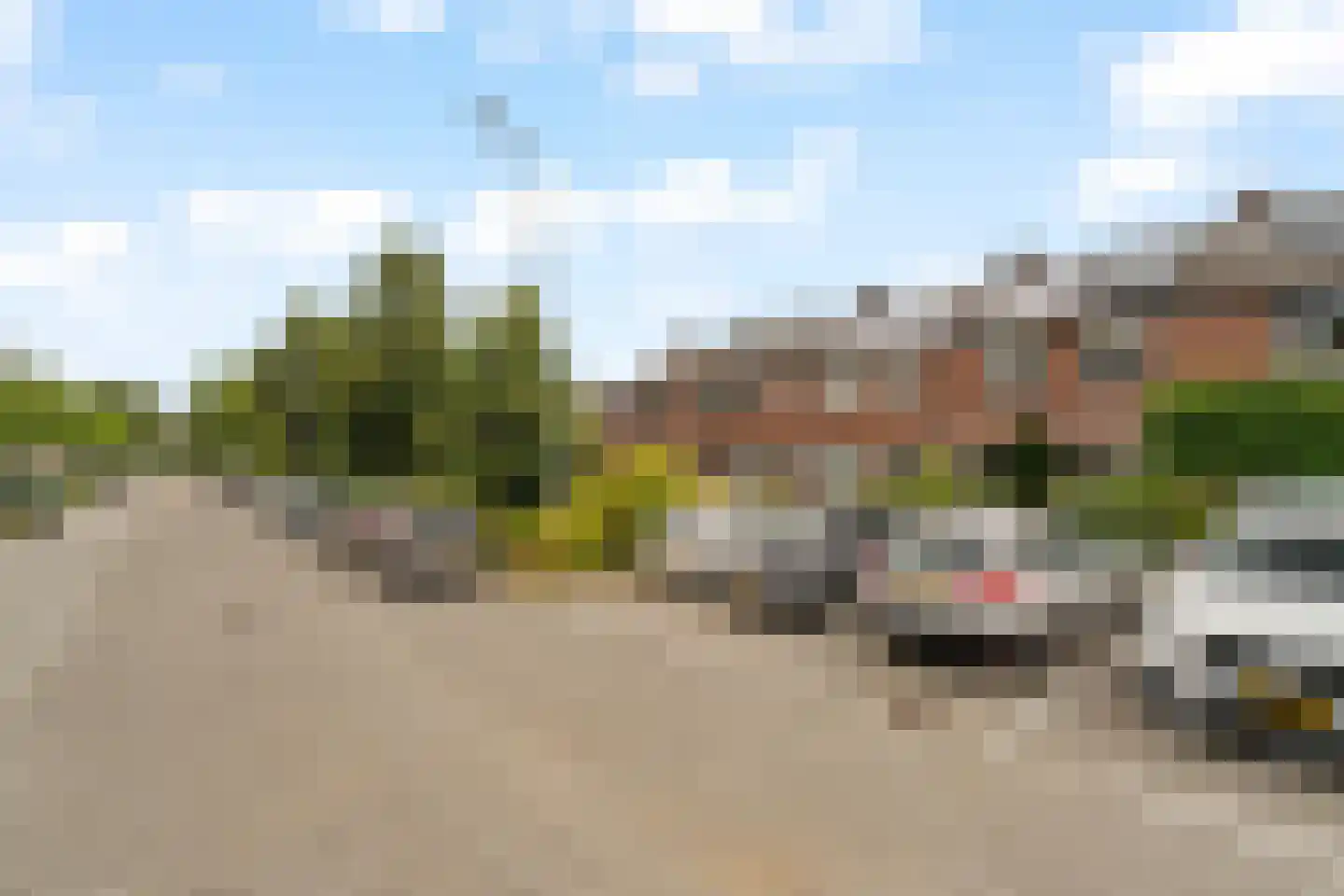 Bolkruid 92 Rotterdam thumbnail 37