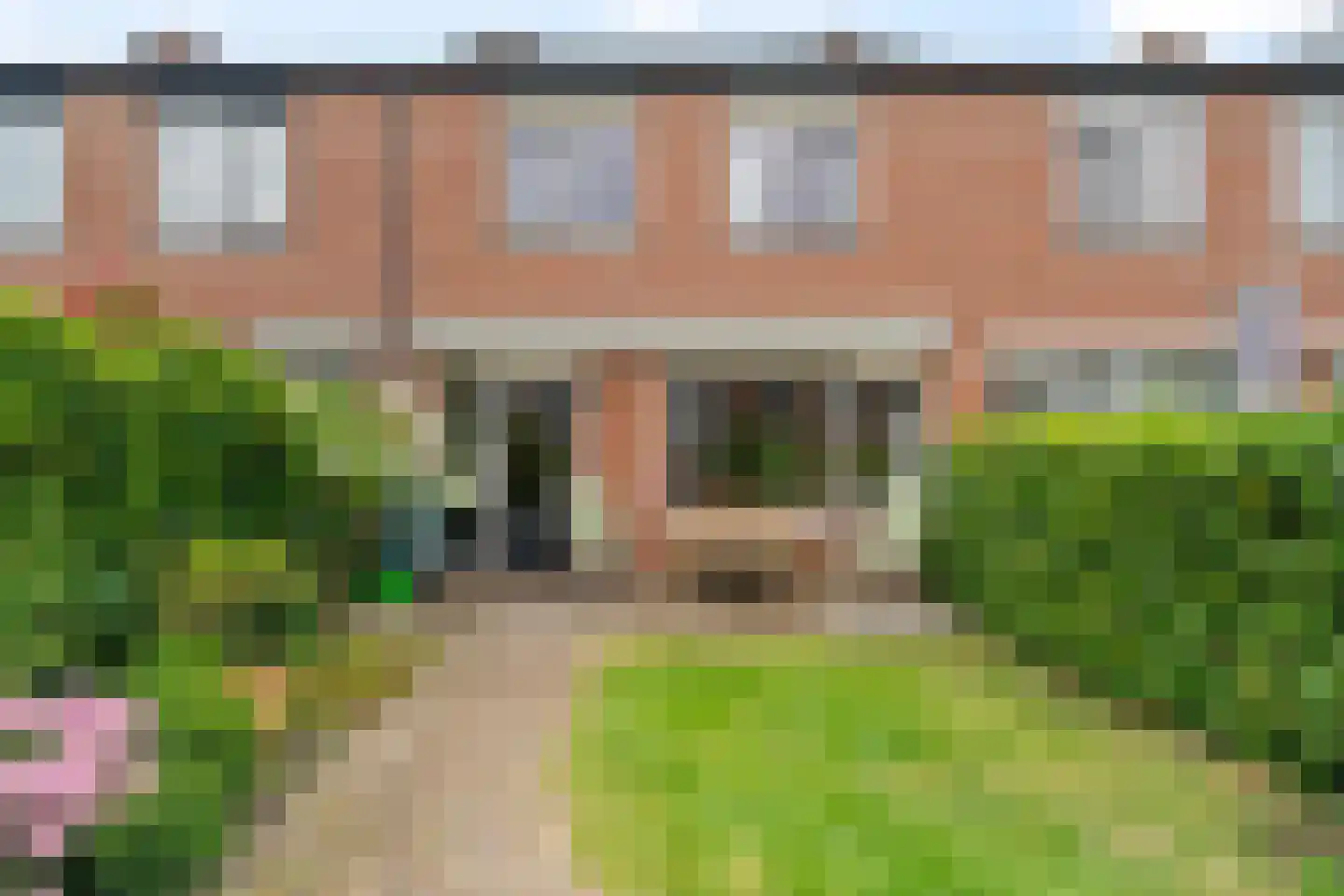 Bolkruid 92 Rotterdam thumbnail 5