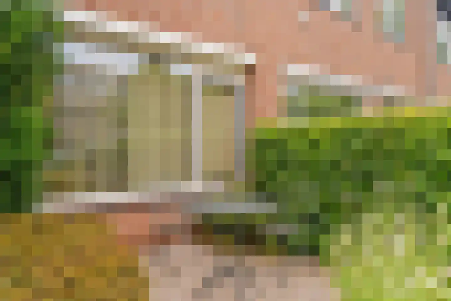 Bolkruid 92 Rotterdam thumbnail 6
