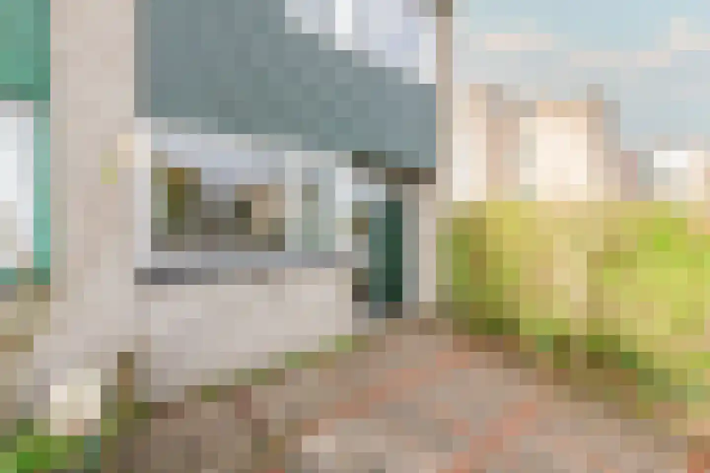 Bolksbeek 2 Zaandam thumbnail 9