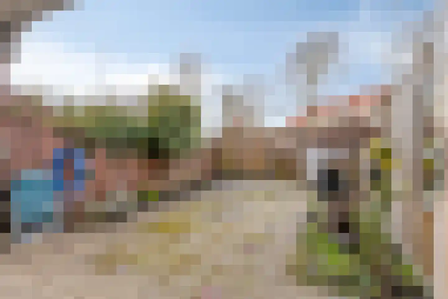 Bolksbeek 20 Zaandam thumbnail 13