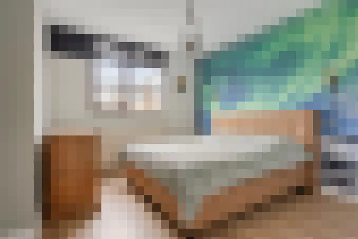 Bolksbeek 20 Zaandam thumbnail 16