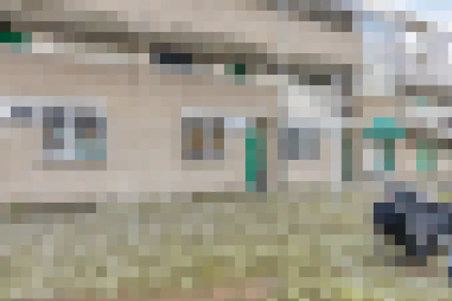 Bolksbeek 20 Zaandam thumbnail 26