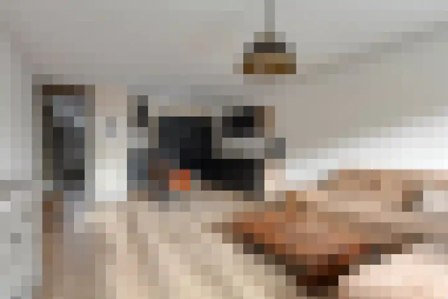 Bolksbeek 20 Zaandam thumbnail 7