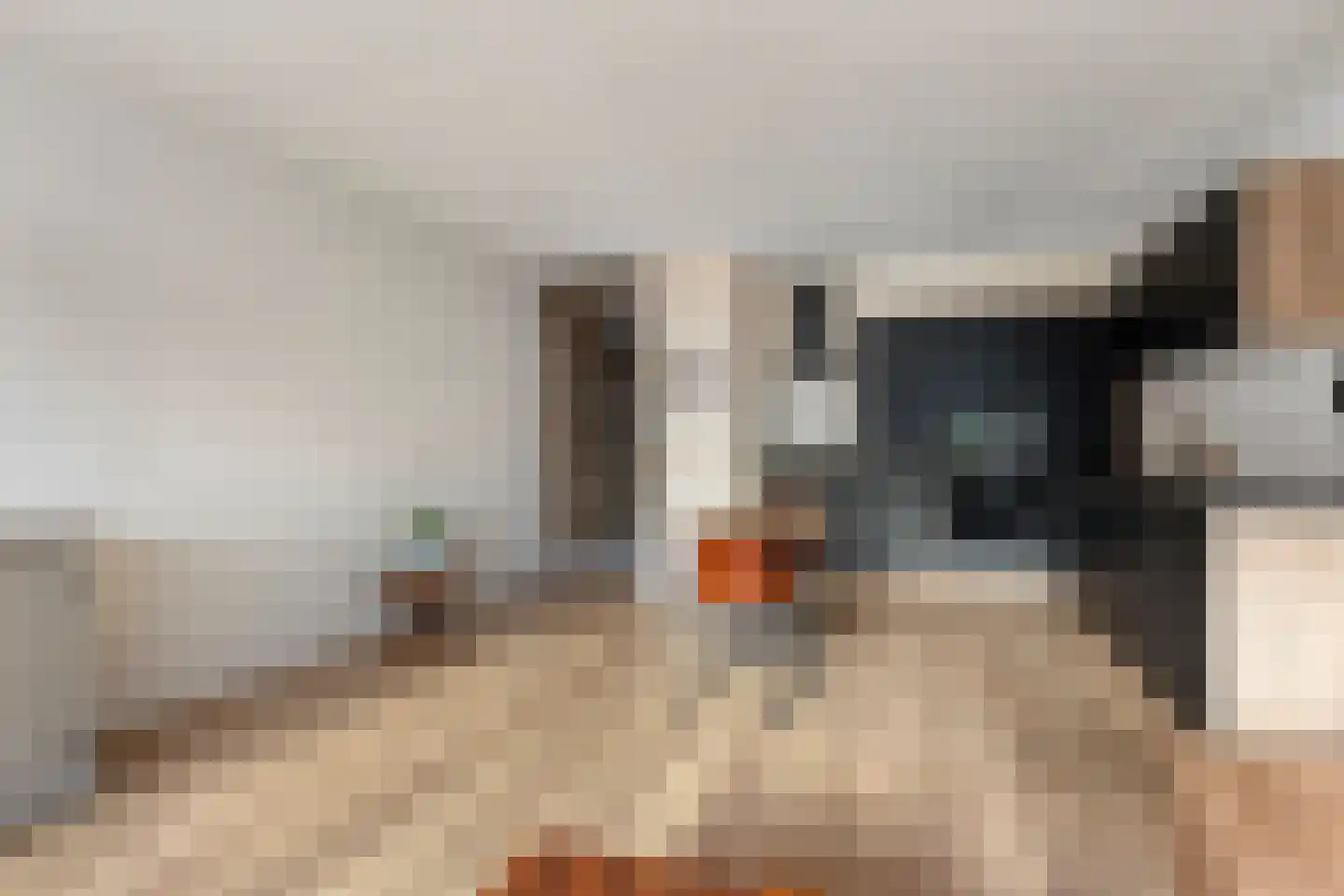 Bolksbeek 20 Zaandam thumbnail 8
