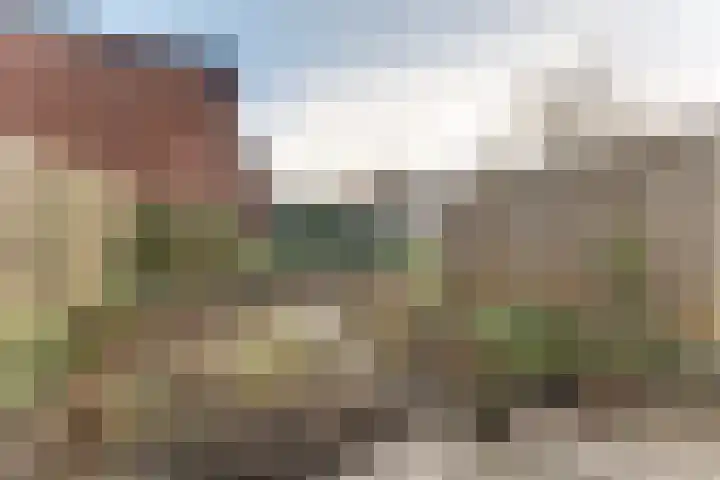 Bolksbeek 23 Zaandam thumbnail 37